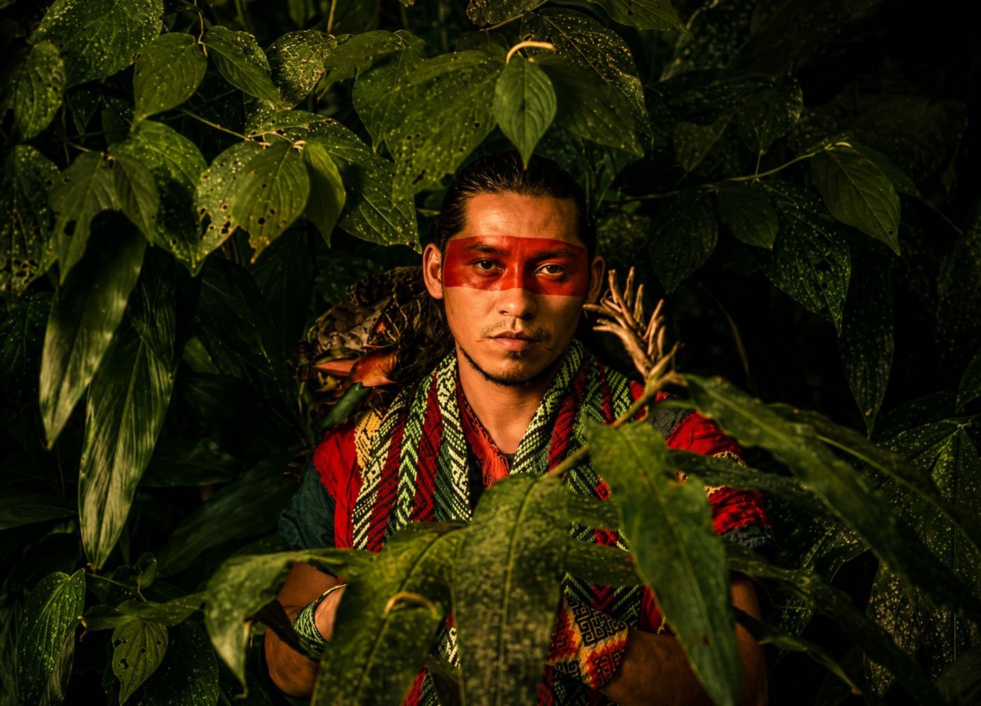Retrato de Mapu na floresta